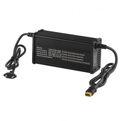 Зарядное устройство Li-ion 25.2V 10A, 6S, штекер XT60, с вольтметром, амперметром, фото № 4 - ukr-mobil.com